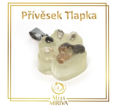 Přívěsek na krk Tlapka