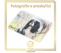 Fotografie v pryskyřici