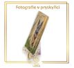 Fotografie v pryskyřici